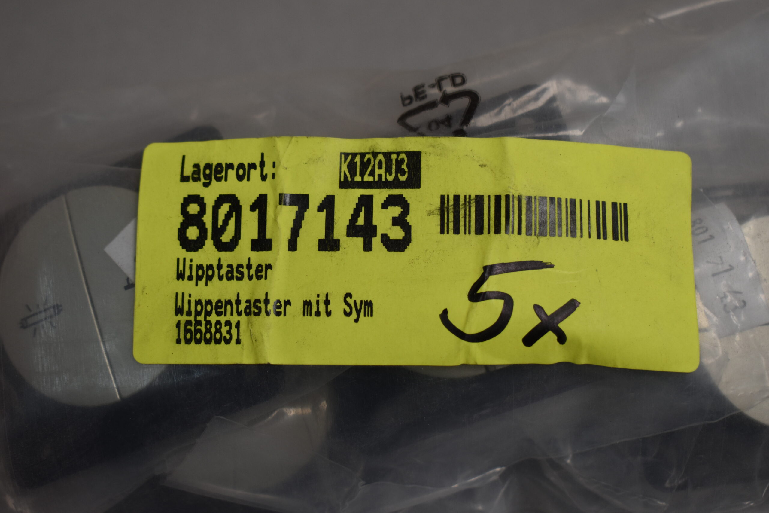 Berker Wippentaster mit Sym 1668831