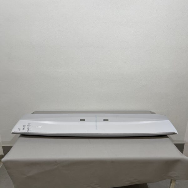 Niesmann & Bischoff Heckverkleidung für Arto 2007 hellgrau