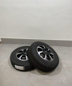 Continental Van Contact 4 Season 225/75 R 16C Niesmann + Bischoff Emblem