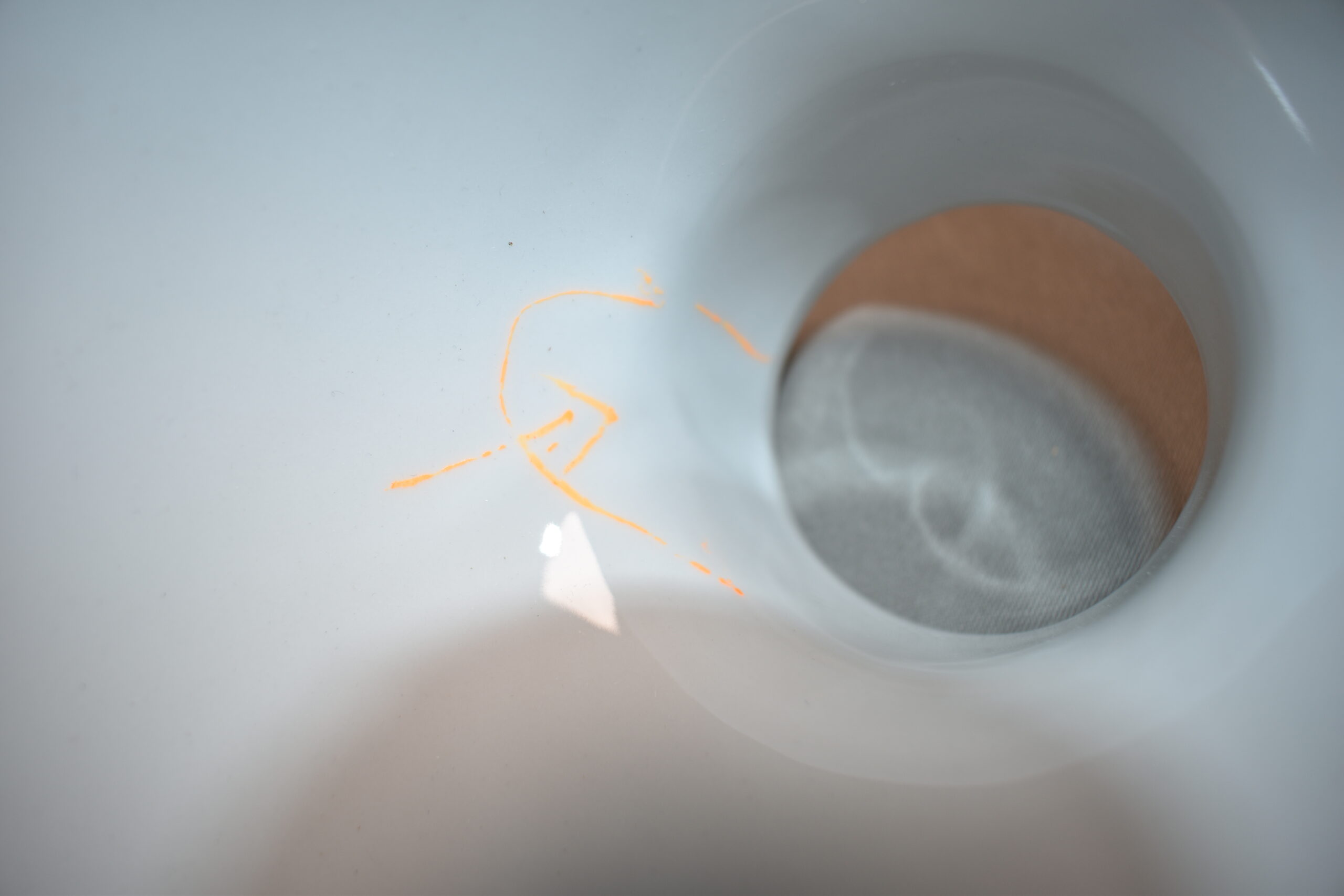 Twusch 6.0 Porzellaneinsatz für Toilette Thetford C250