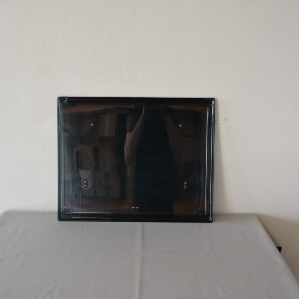 Ersatzscheibe Scheibe Polyplastic 560x500mm