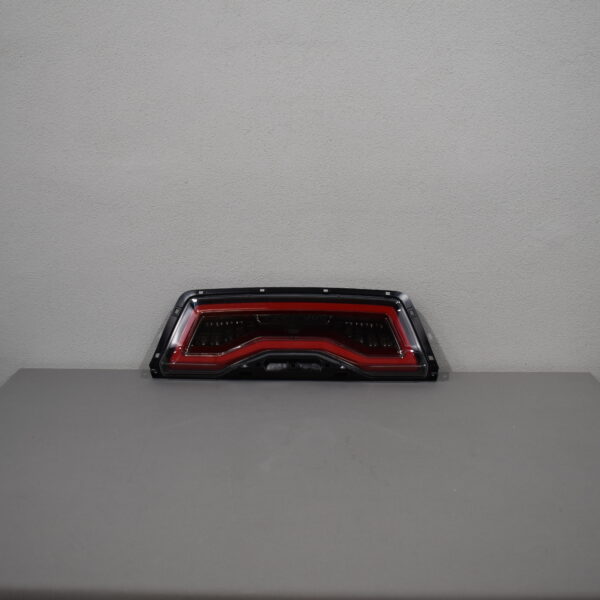 litec Rücklicht 70x190x670mm