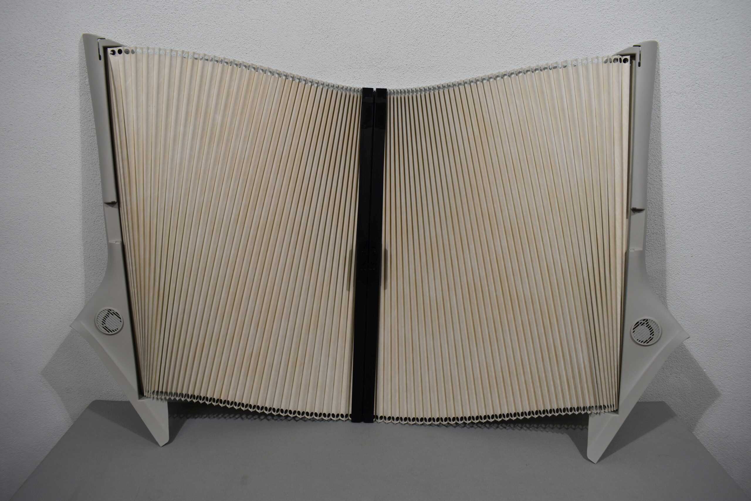 Remis Verdunklungs-Plissee für Fahrerkabine