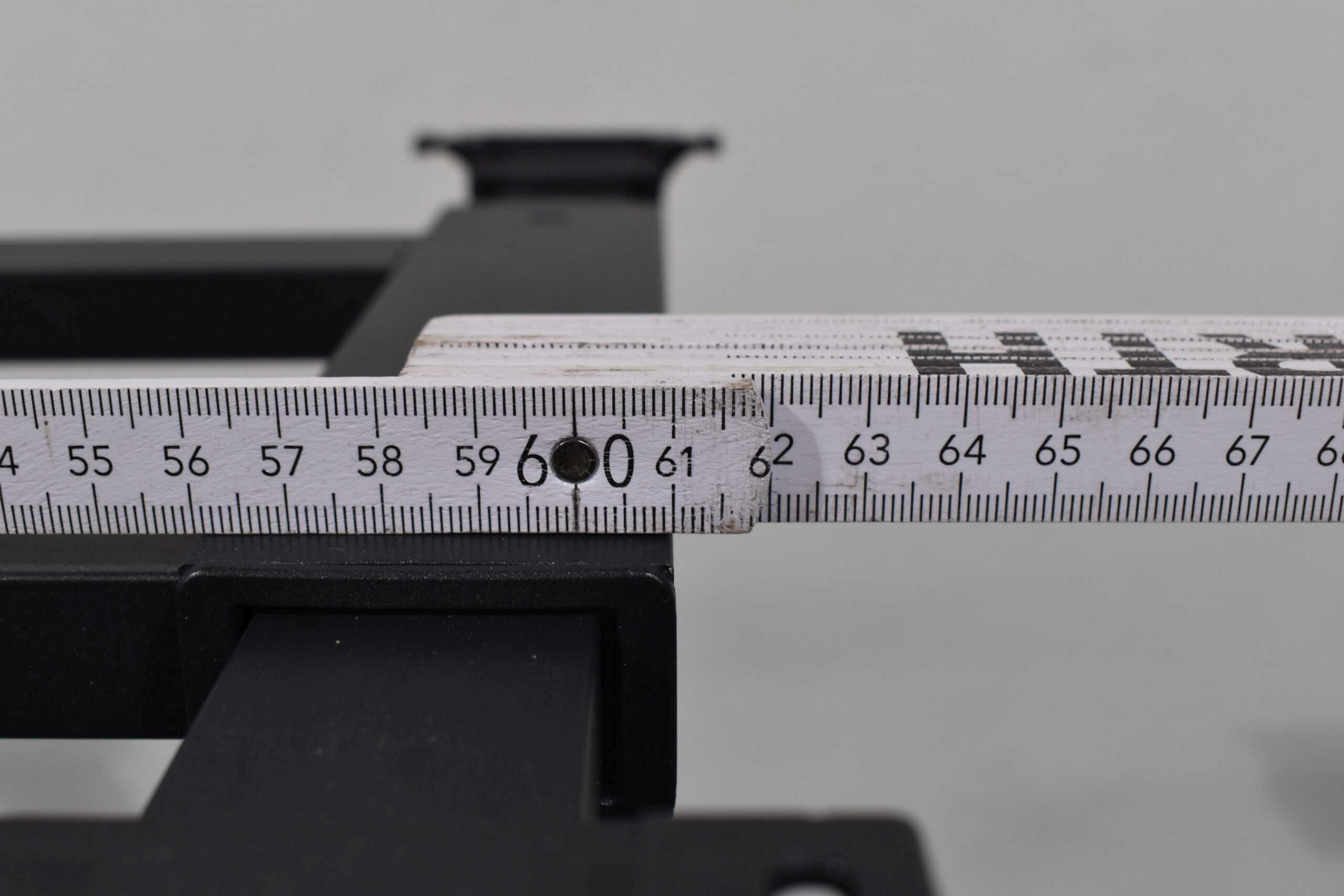 Thule Elektrisch ausfahrende Trittstufe DBL Step 12Volt650 Flair MJ15