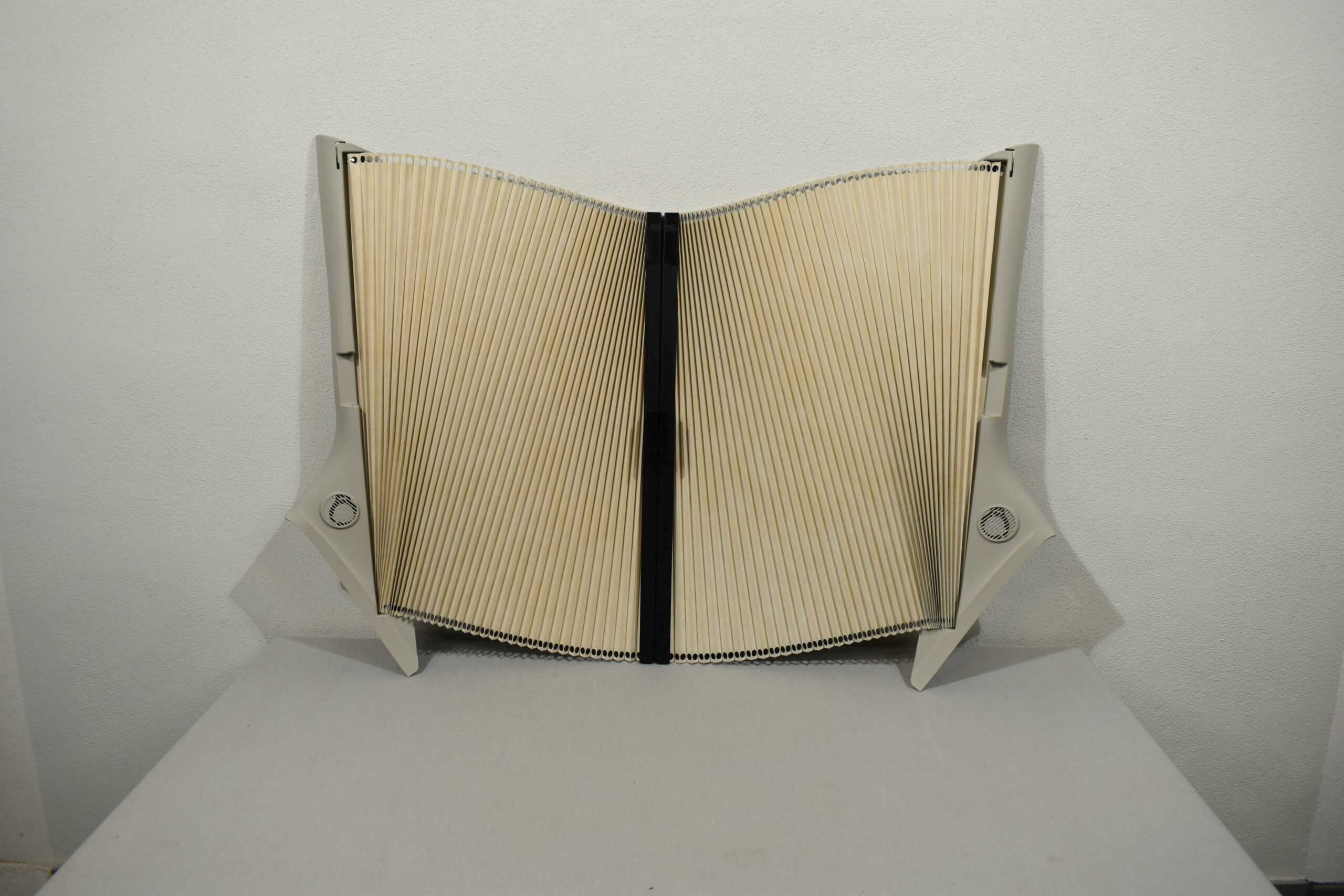 Remis Verkleidungs-Plissee für Fahrerkabine Ducato MJ15