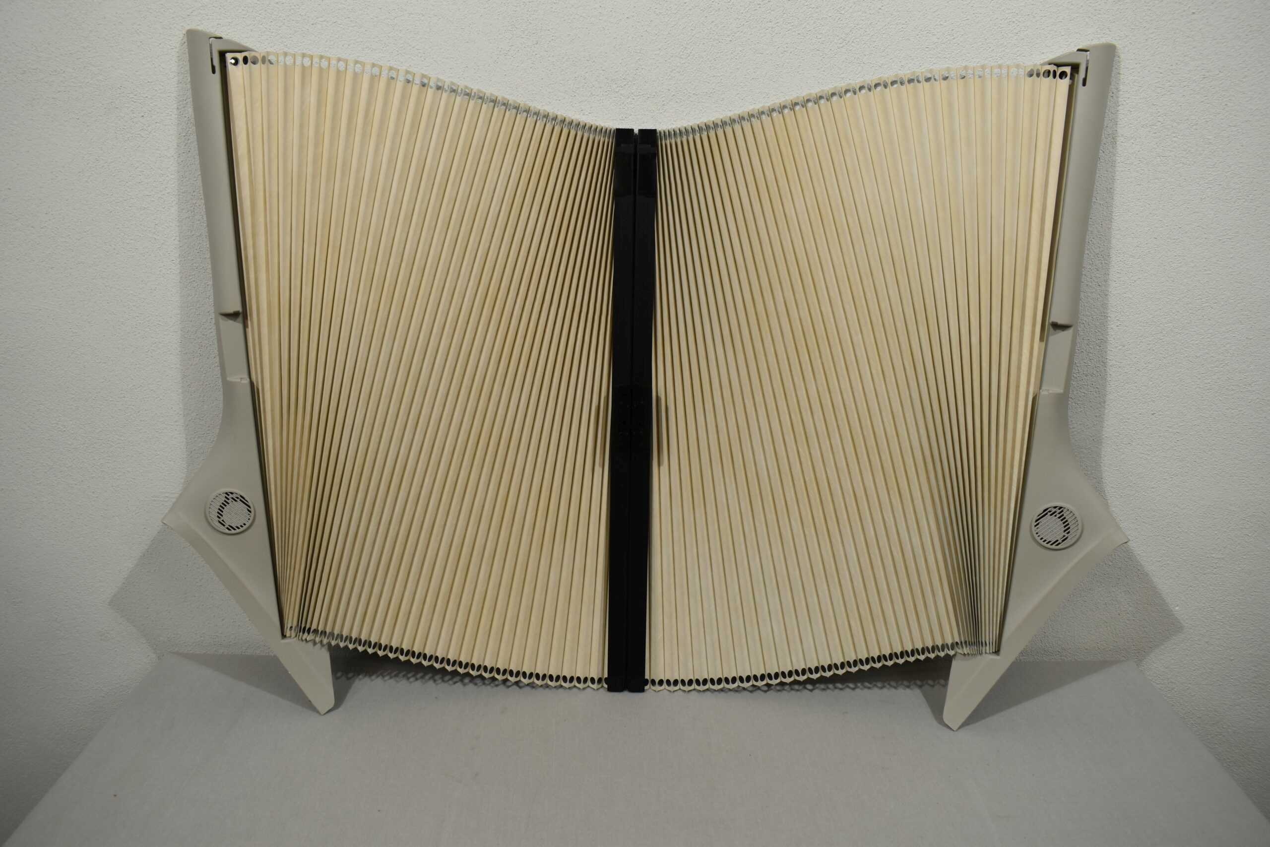 Remis Verkleidungs-Plissee für Fahrerkabine Ducato MJ15