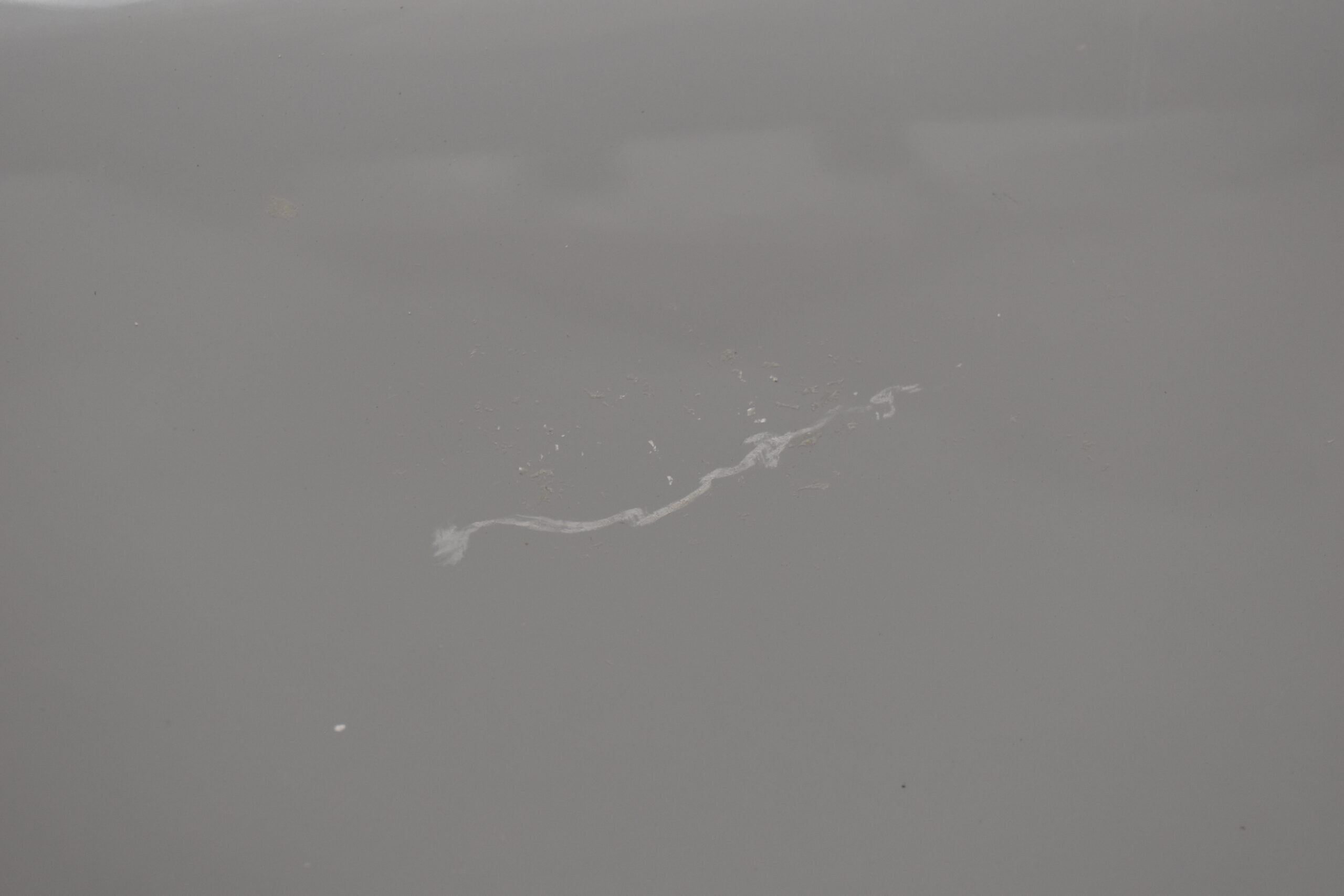 Niesmann und Bischoff i Smove 2021-2024 Radlaufblende Fahrerseite; hell grau