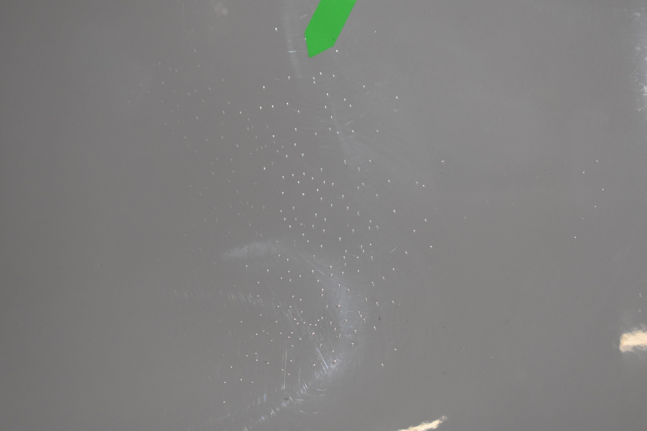 Niesmann und Bischoff i Smove 2021-2024 Radlaufblende Fahrerseite; hell grau