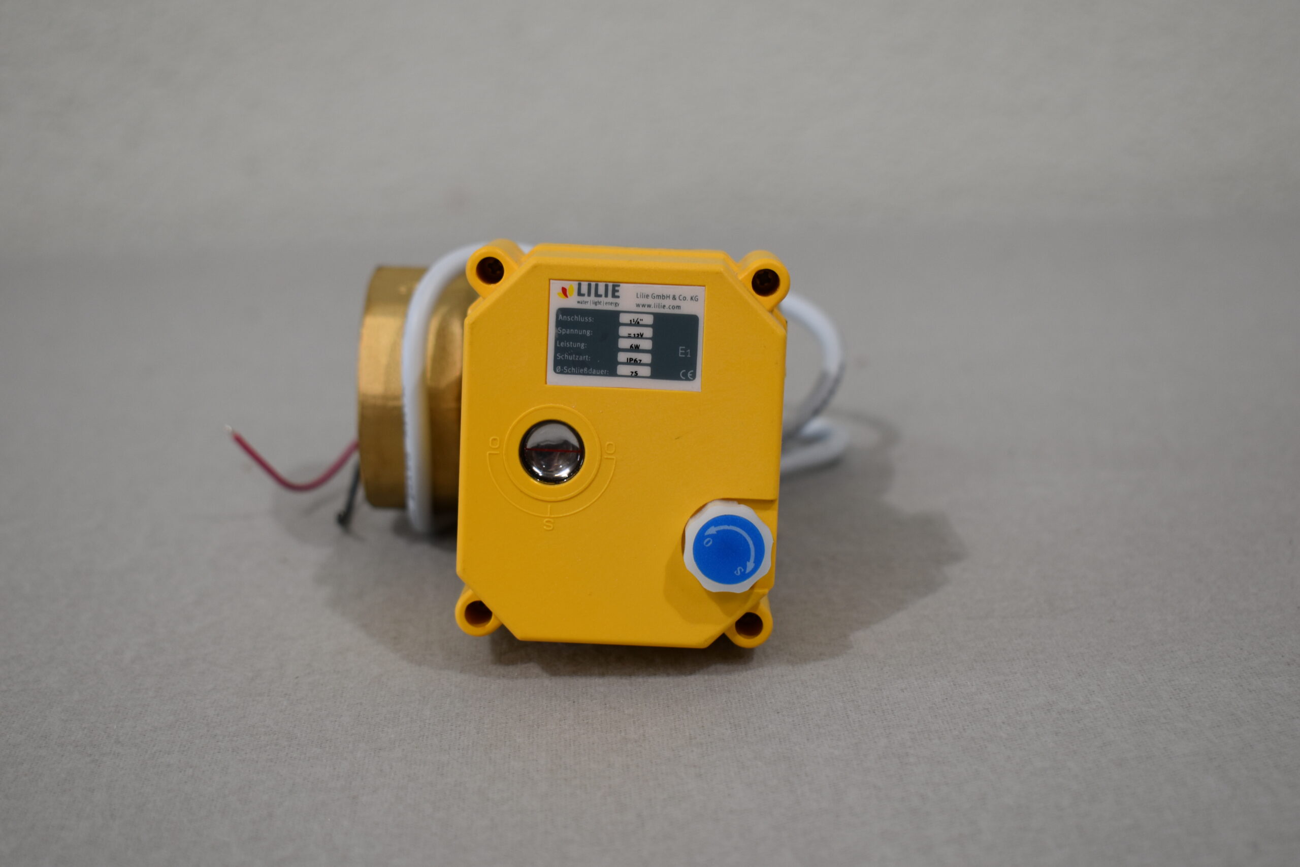 Lilie Stellmotor für Abwasser