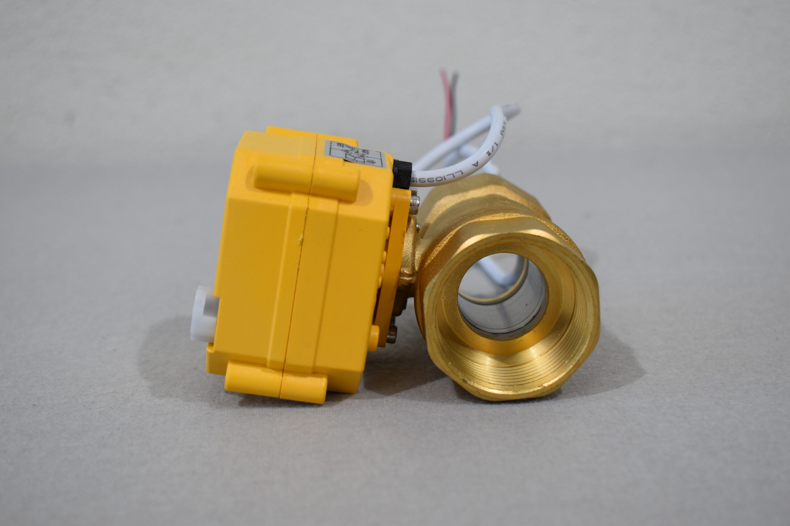 Lilie Stellmotor für Abwasser