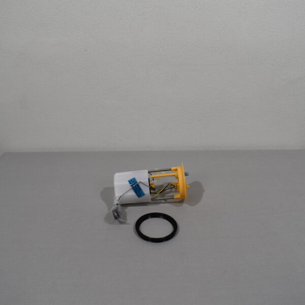 Hella Kraftstoffpumpeneinheit Typ: 8TF 358.106-051