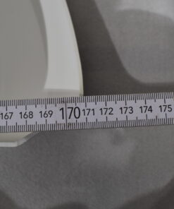 Niesmann und Bischoff Radlauf hinten; Tandemachser 2007-2008