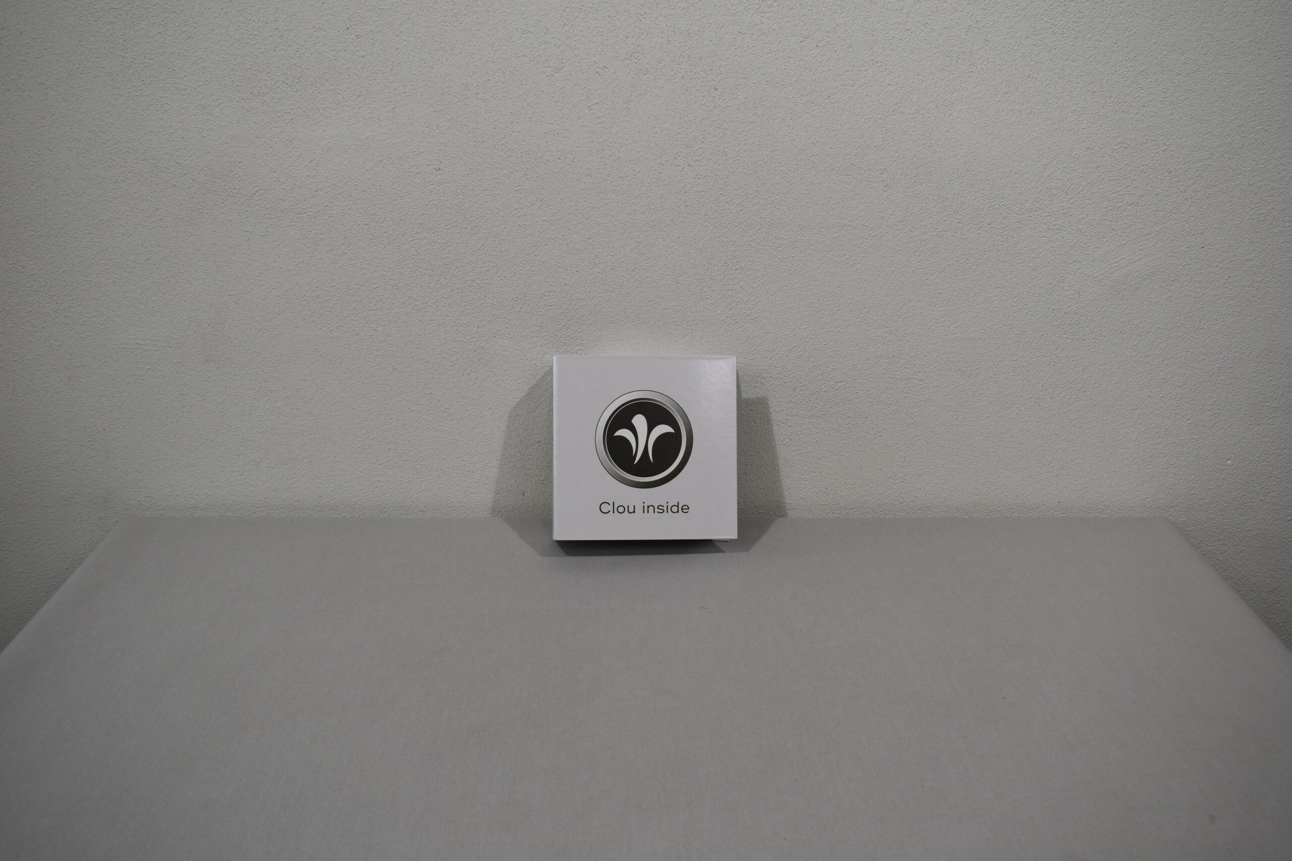 Niesmann und Bischoff Arto Bedienungsanleitung / Handbuch