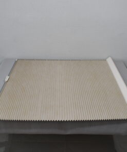 Niesmann und Bischoff Verdunklungsrollo Fahrerhaus; Beifahrerseite