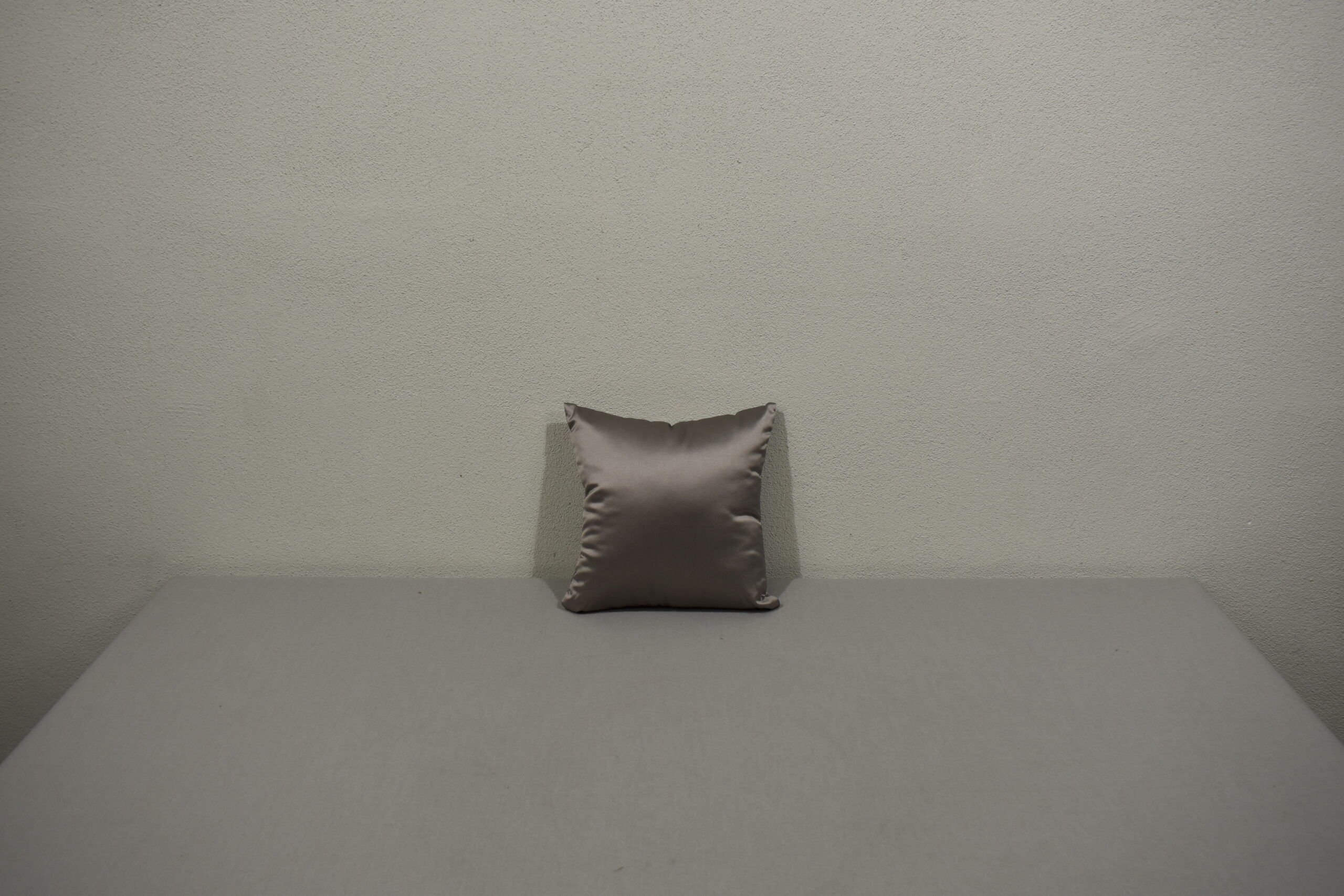 Niesmann und Bischoff Kissen mit Bezug; silber; 300x300mm