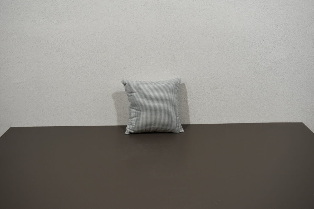 Kissen / Zierkissen; weiß-grün kariert; 280x280mm