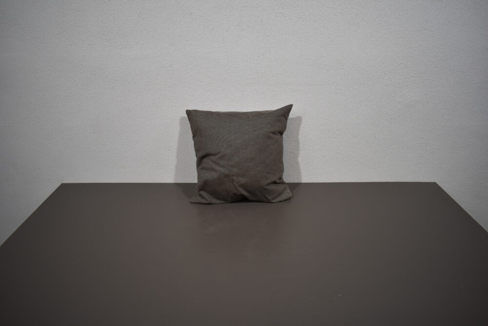 Kissen / Zierkissen; braun; 380x380mm