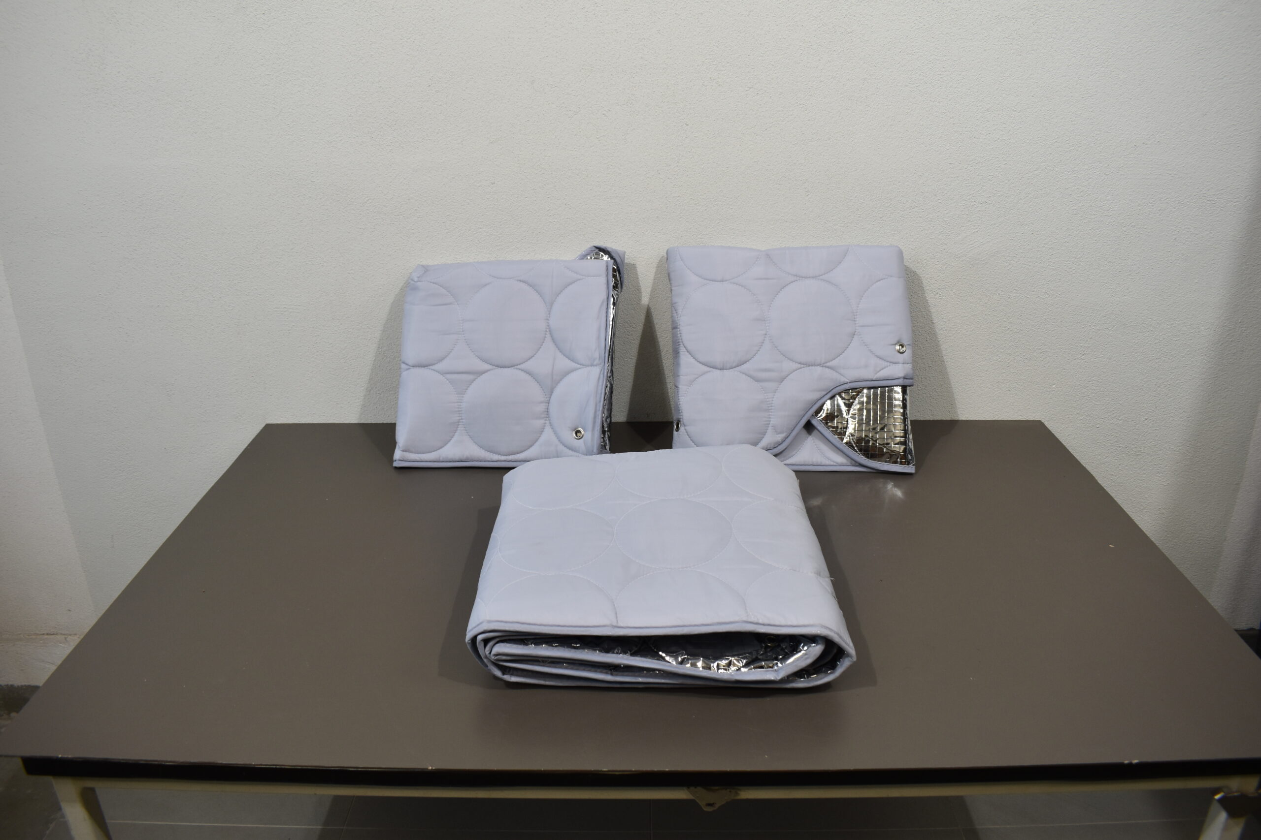 Thermomatten - Set für Ford Transit