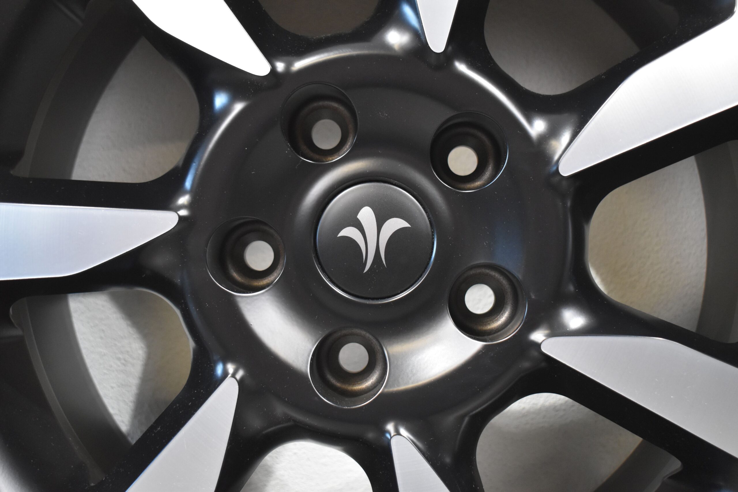 Goldschmitt Felge 18 Zoll; Niesmann und Bischoff Emblem Nabendeckel – Bild 3