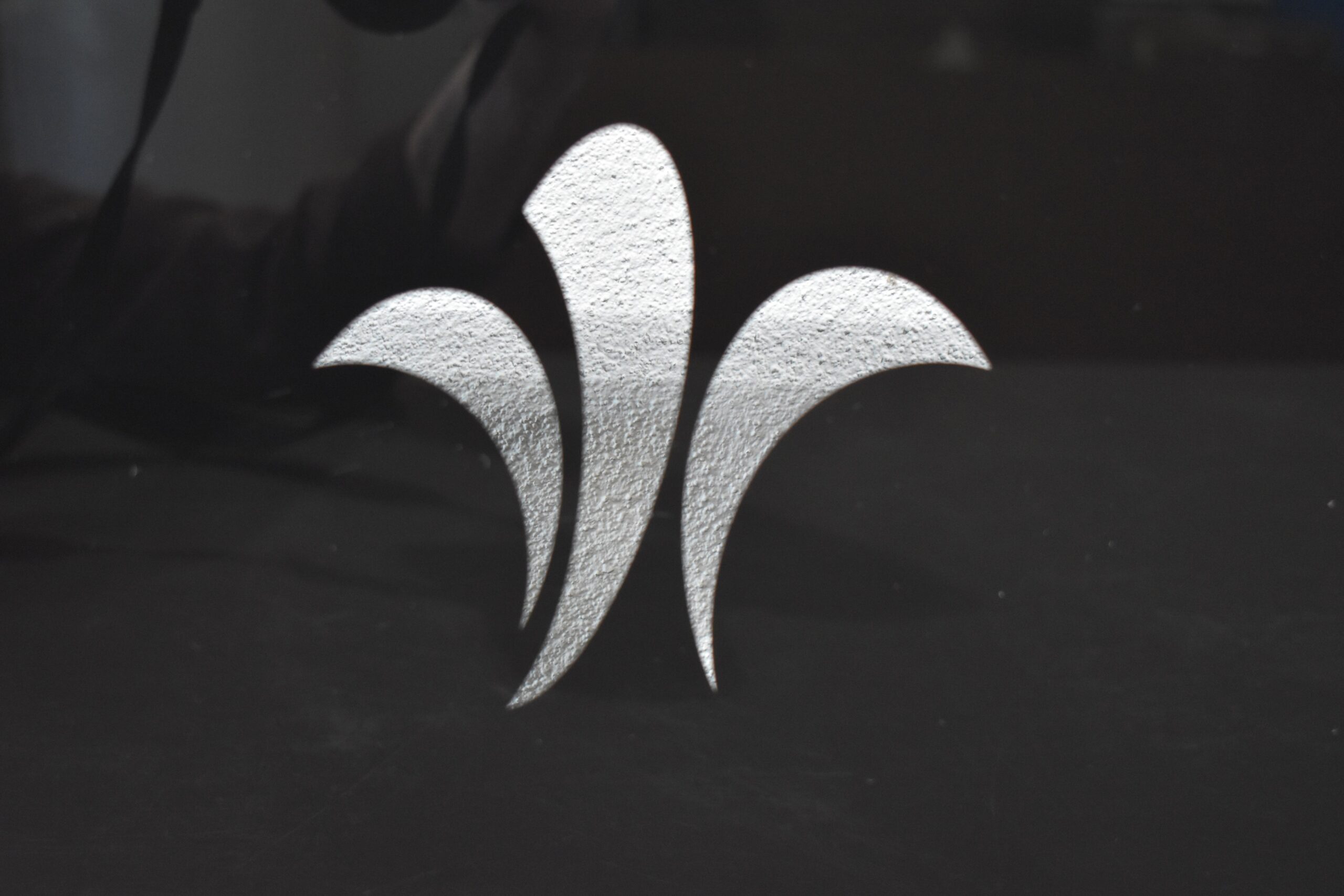 Niesmann und Bischoff Glas-Spritzschutz mit Lilie; schwarz: 250x505mm – Bild 4