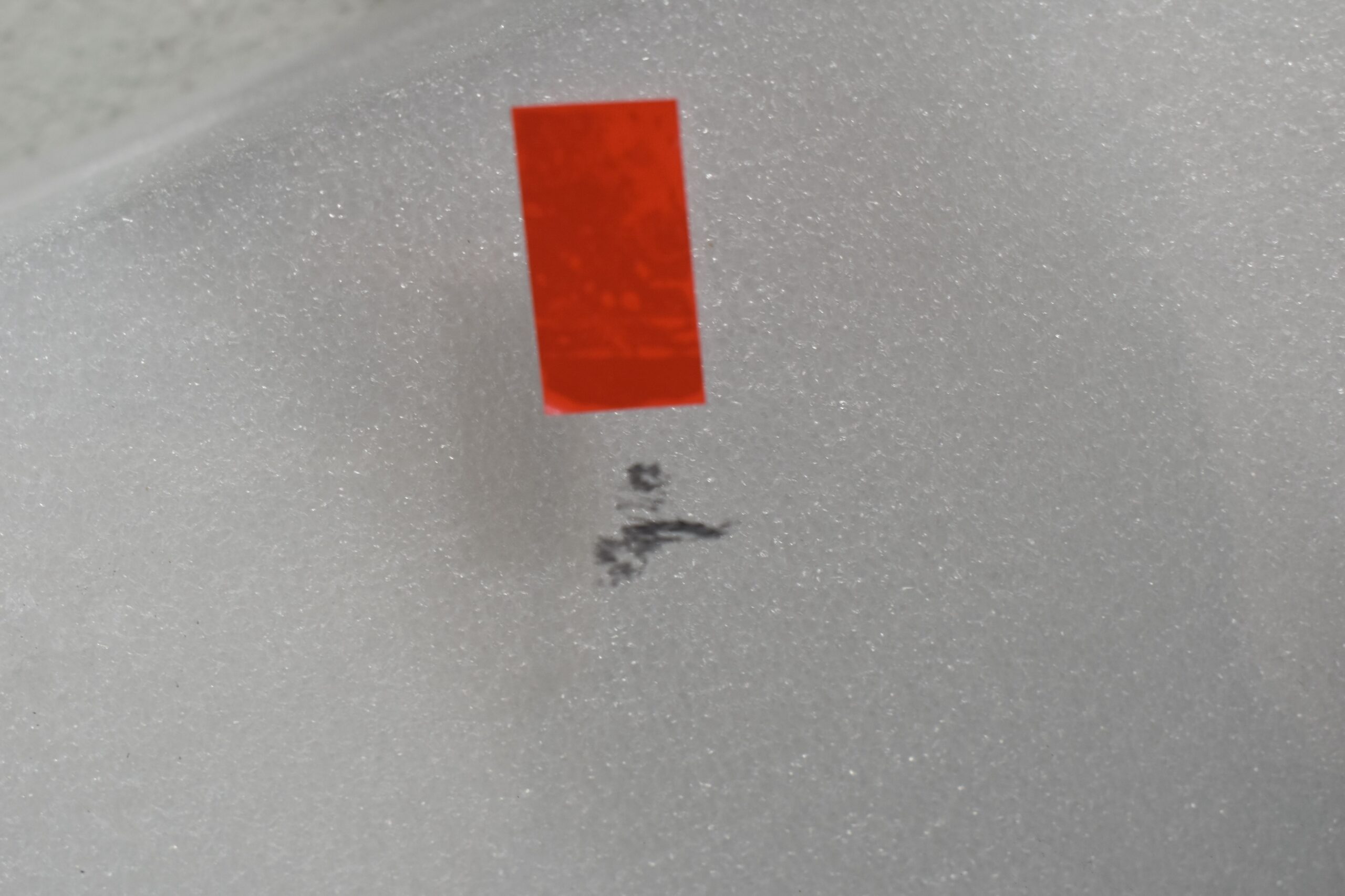 Mekuwa Schiebefenster Beifahrerseite 715x1030mm 43R-001410 – Bild 6