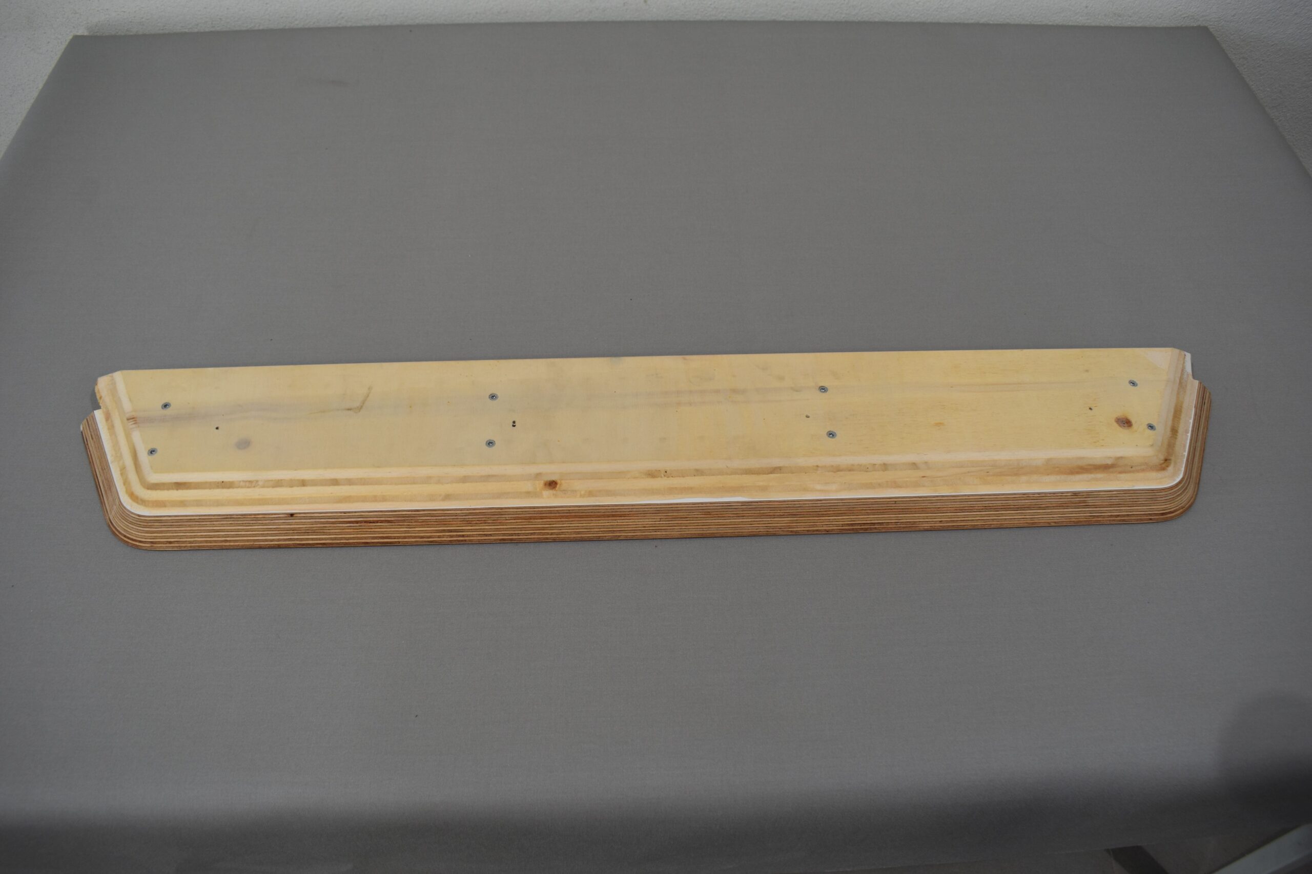 REMIcare Insektenschutztür VW T5 – Bild 19