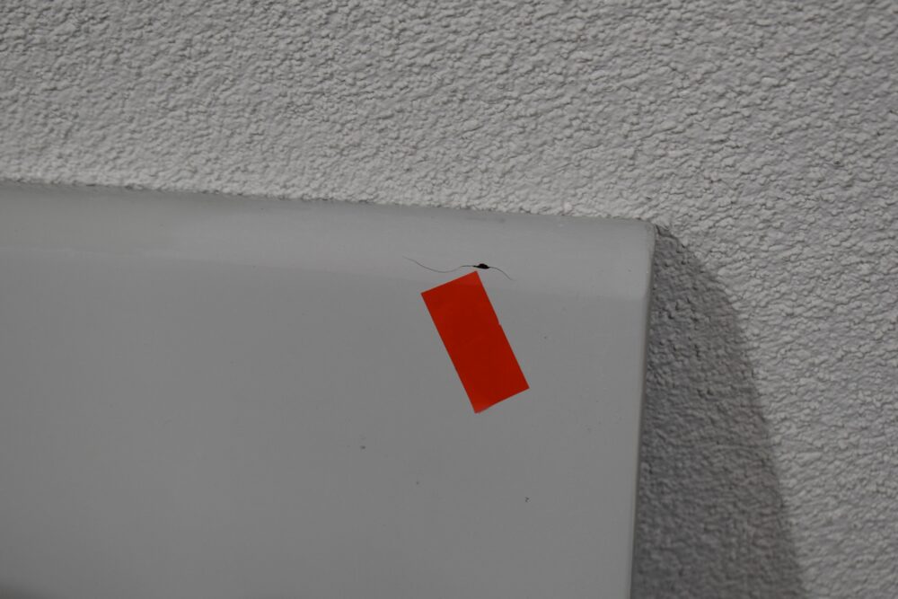Niesmann und Bischoff Radlaufblende hinten links/rechts – Bild 5
