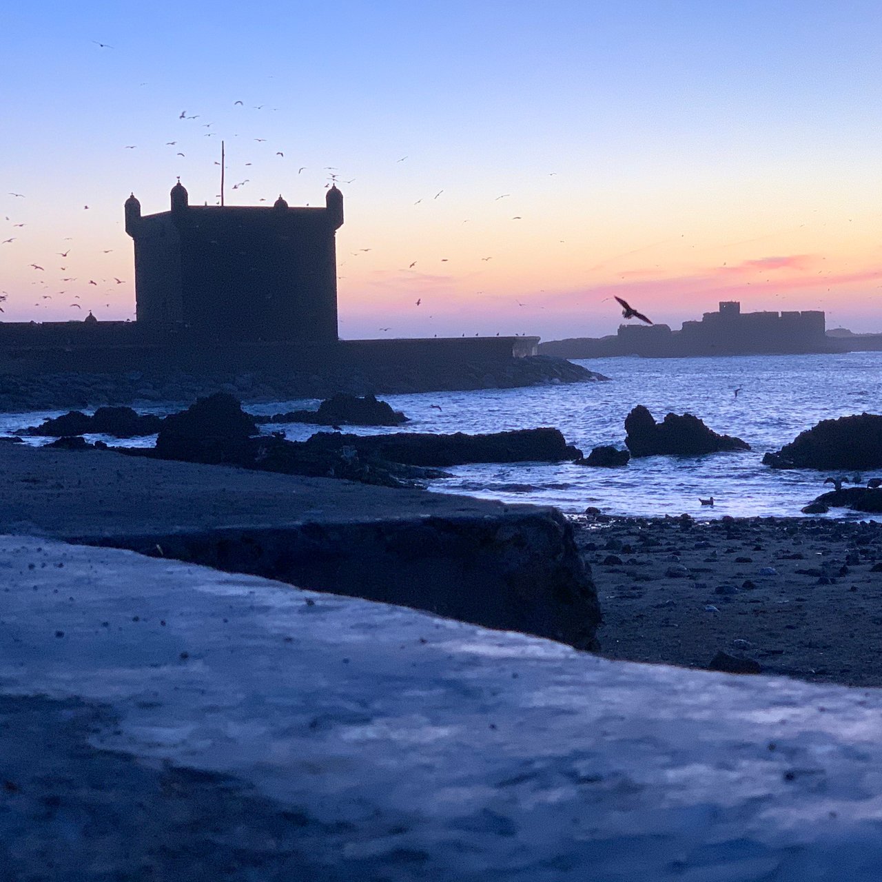 Byvoldene i Essaouira - 5