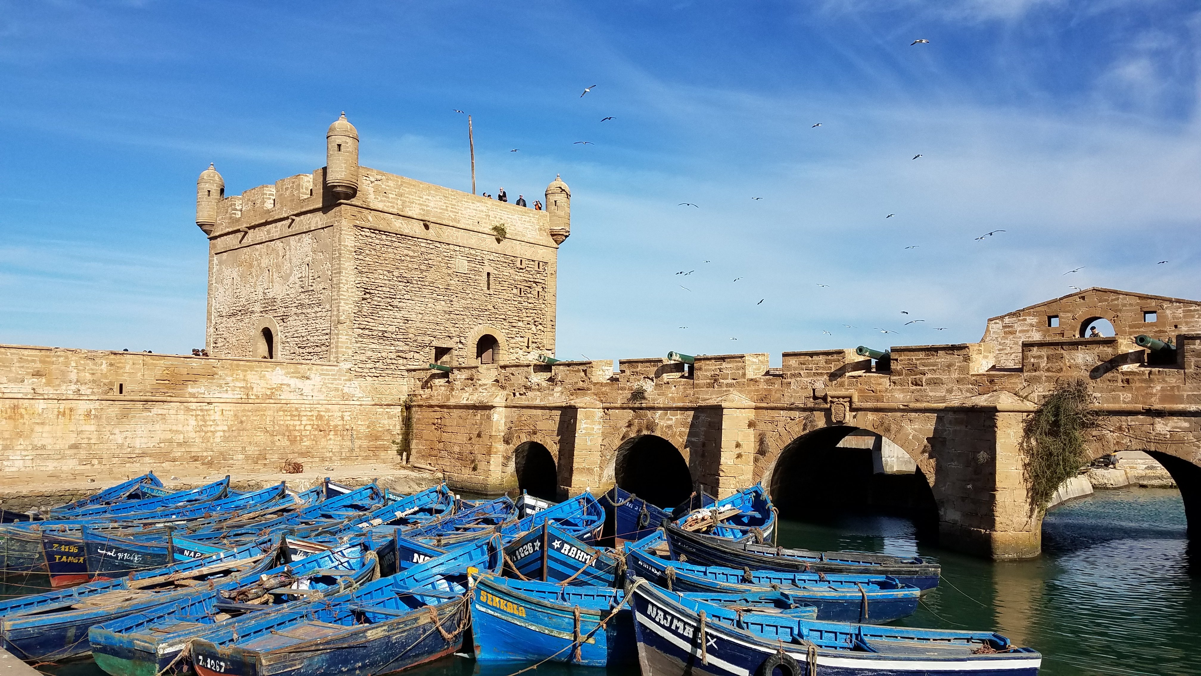 Essaouira Fishing Port