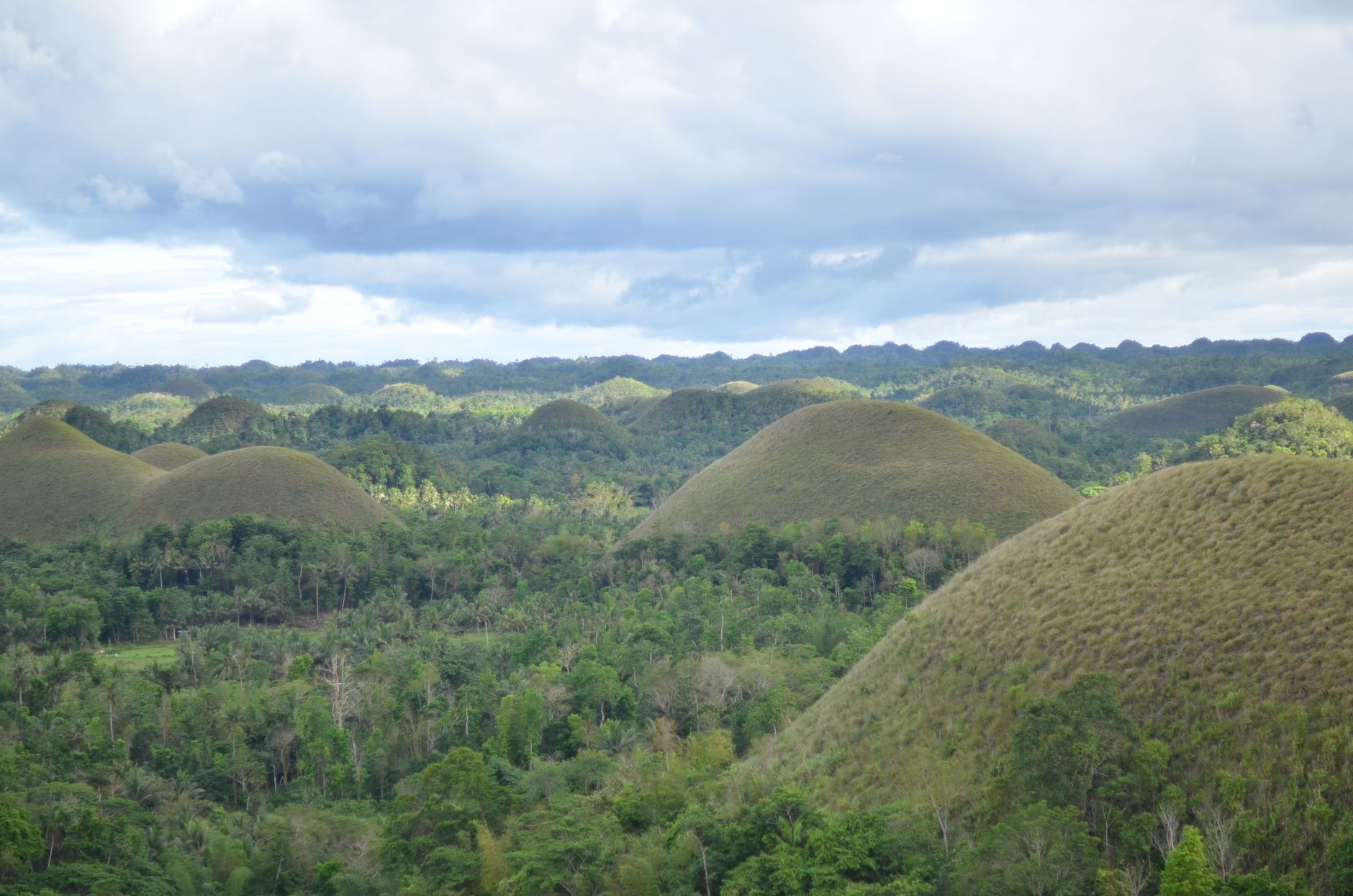 Chocolate Hills i den tørre tid