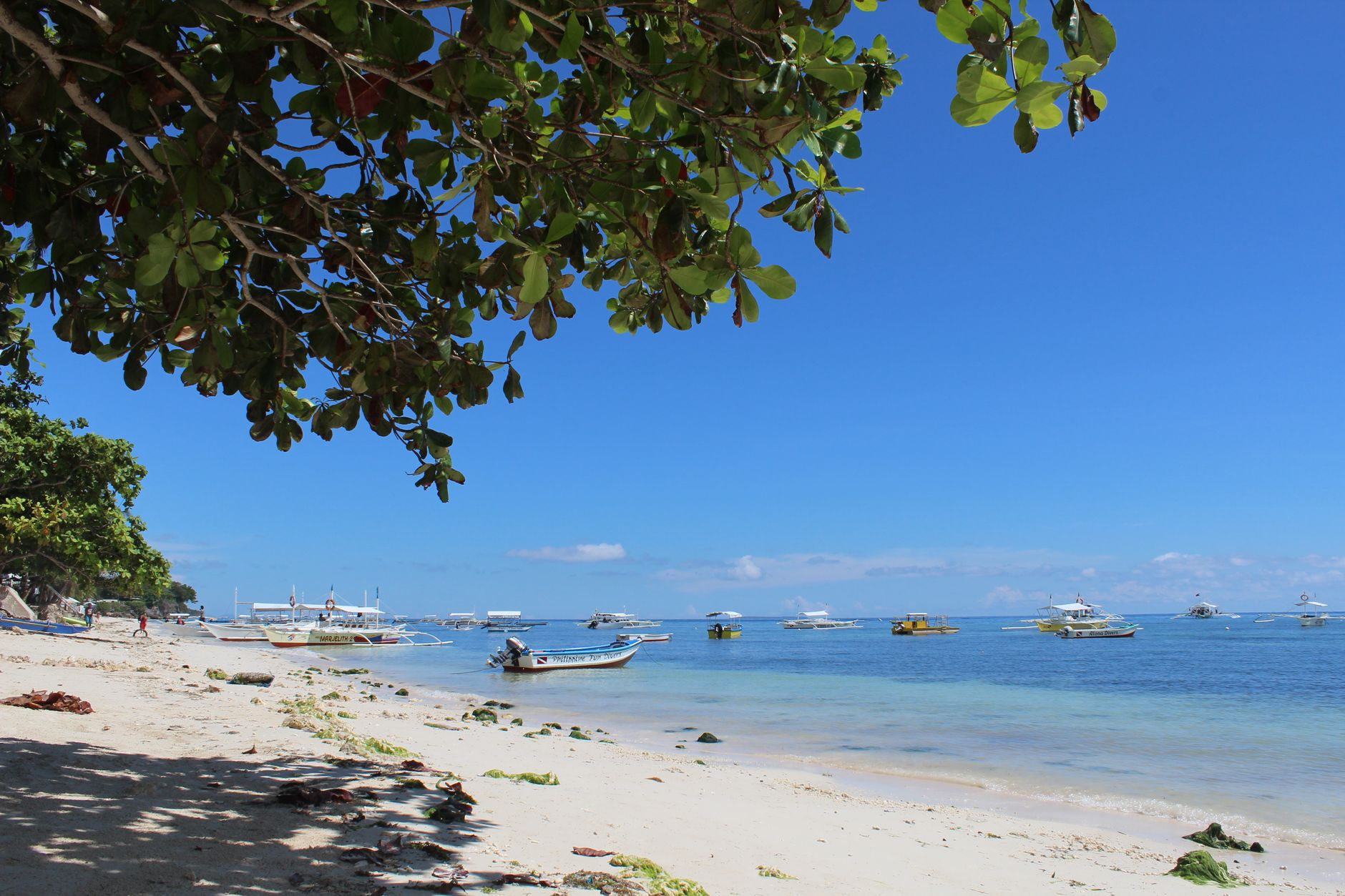Stranden på Panglao