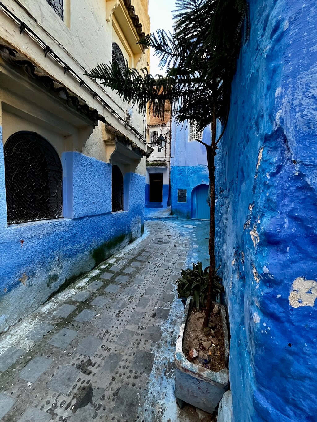 Dar Jasmine - Billede 3