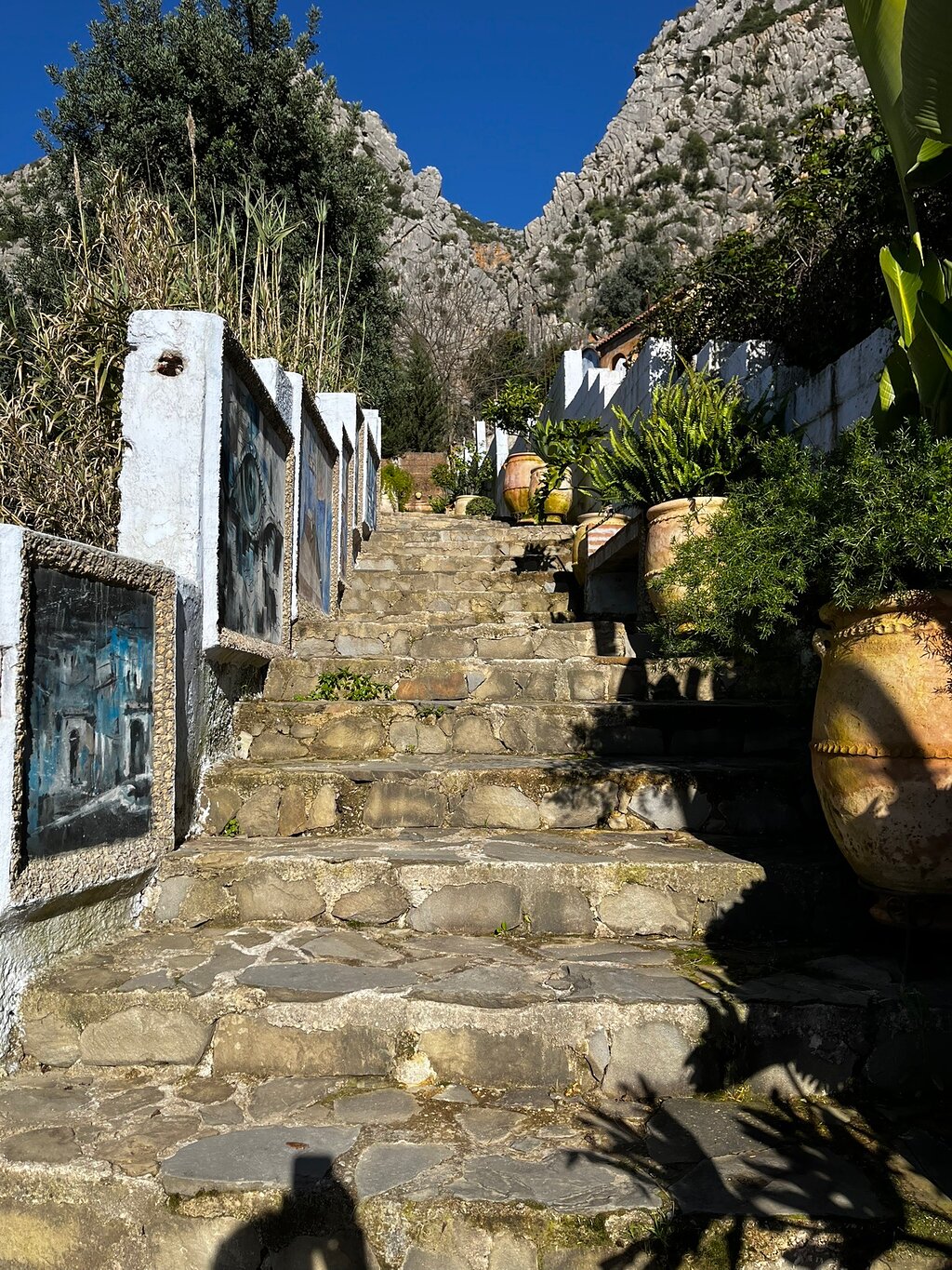 Dar Jasmine - Billede 4