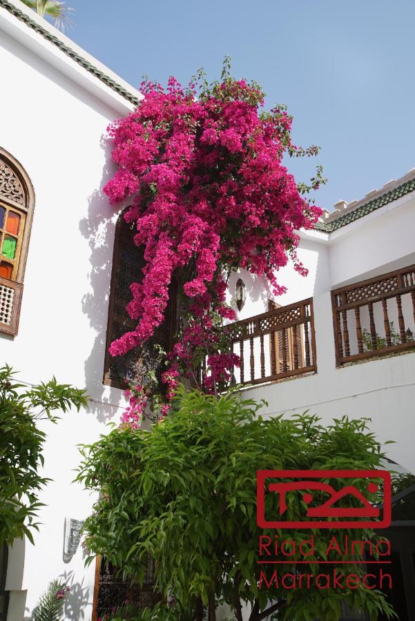 Riad Alma - 8