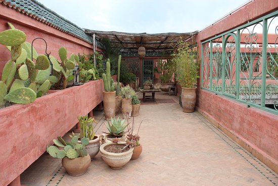 Riad Jardin Secret - 6