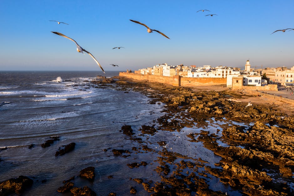 Pexels 8428020 - Essaouira medina Morocco