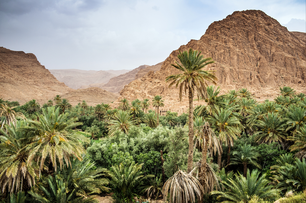 shutterstock_165336293