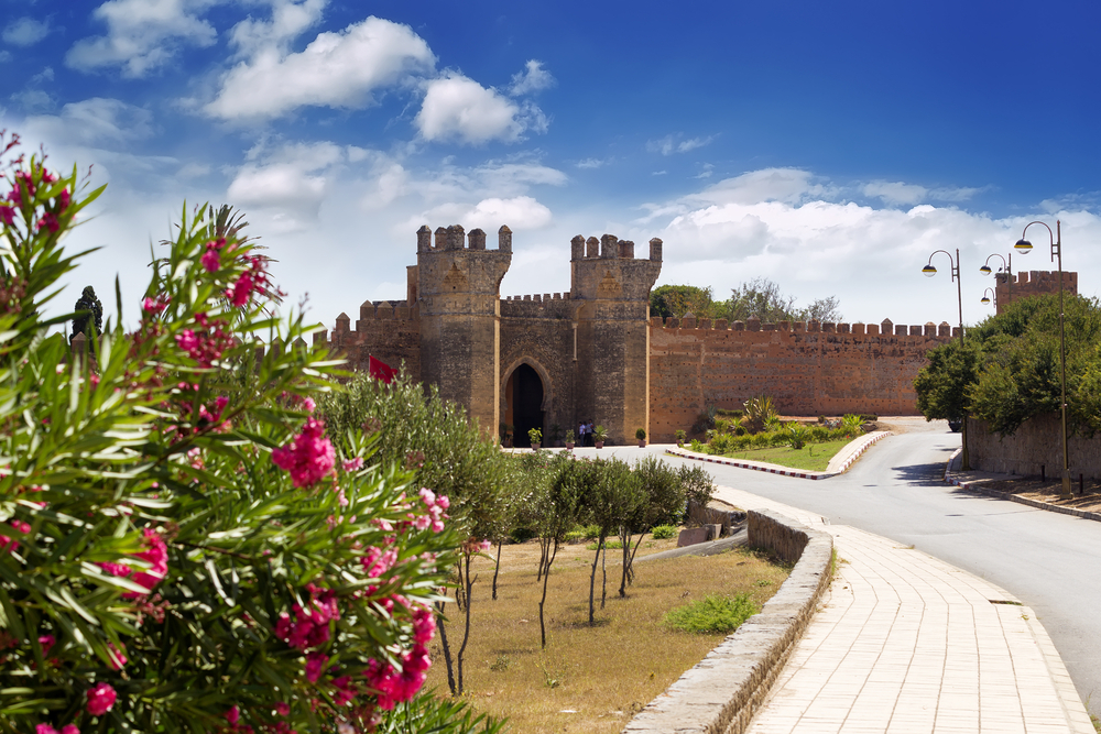 shutterstock_209439061