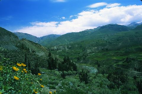 Colca Canyon