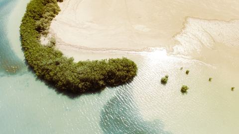 Mangrove og sandtange ved kysten