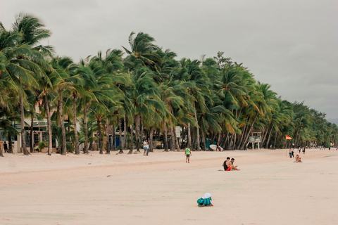 Palmer langs stranden på Boracay