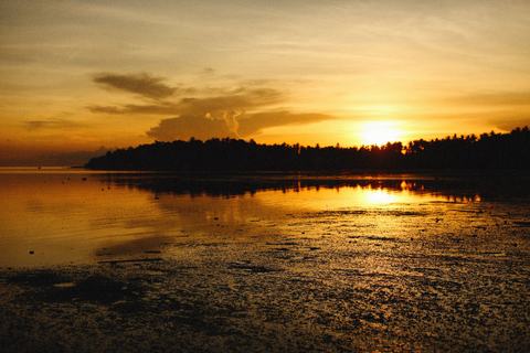 Solnedgang ved ebbe