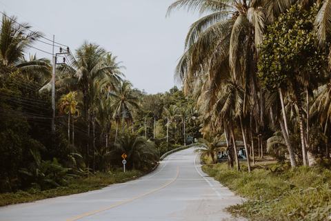Vejen ned gennem Palawan