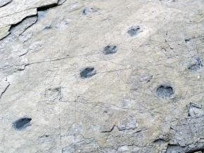 Sites of fossilized dinosaurs by Kyle Magnuson