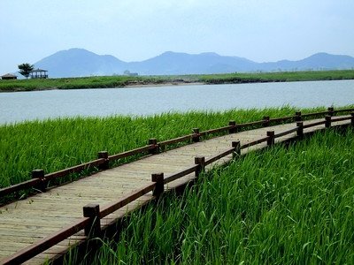 Getbol, Korean Tidal Flats by Kyle Magnuson