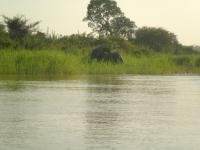 W-Arly-Pendjari Complex by Szucs Tamas