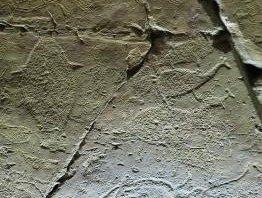 Petroglyphs along the Bangucheon Stream by Kyle Magnuson