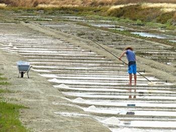 Marais salants de Guérande by Clyde