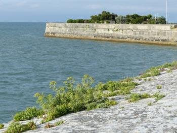 Fortifications of Vauban by Clyde