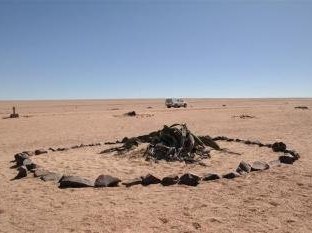 Welwitschia Plains by Kbecq